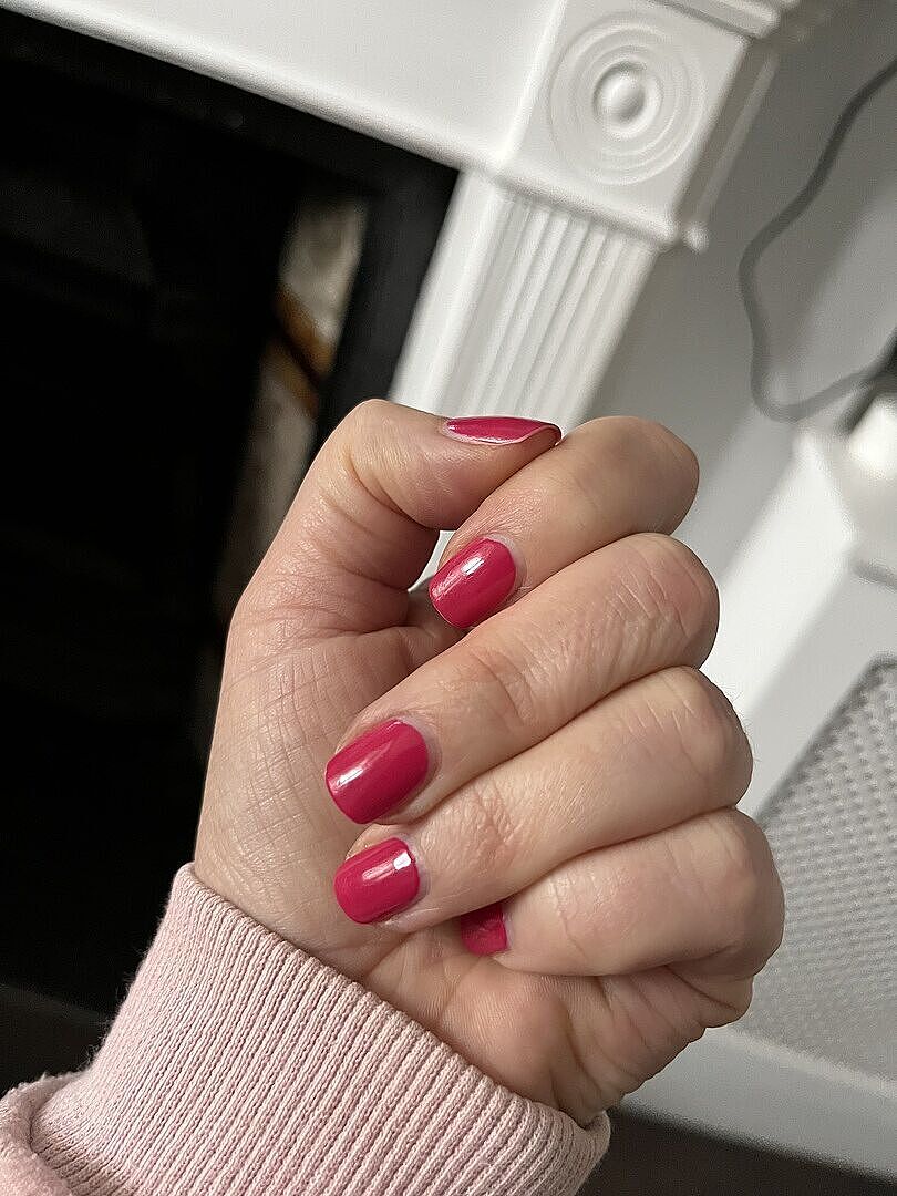 Sommer, Sonne, Fuchsia