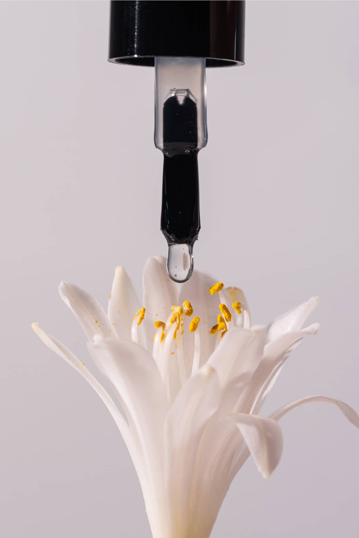 gitti-plantpro-base-coat-gel-unterlack image 4