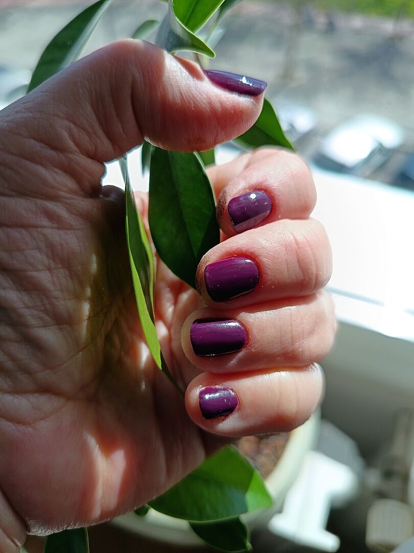 Farbe top, etwas dick