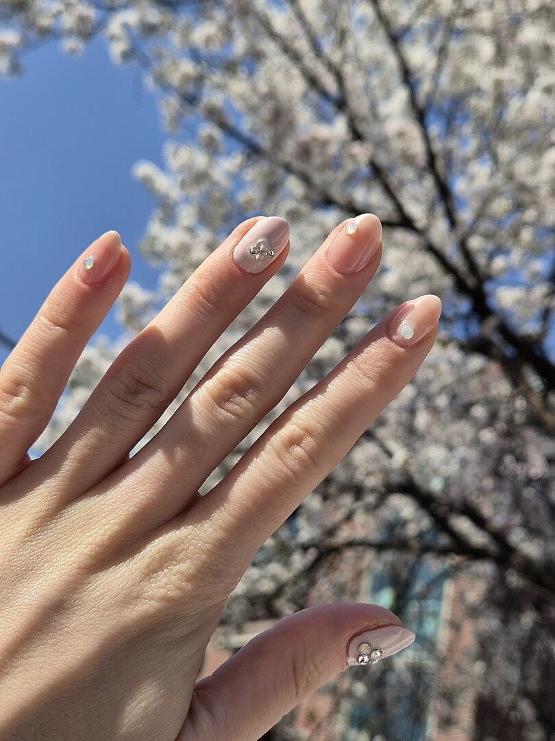 Sommer, Sonne, Blossom