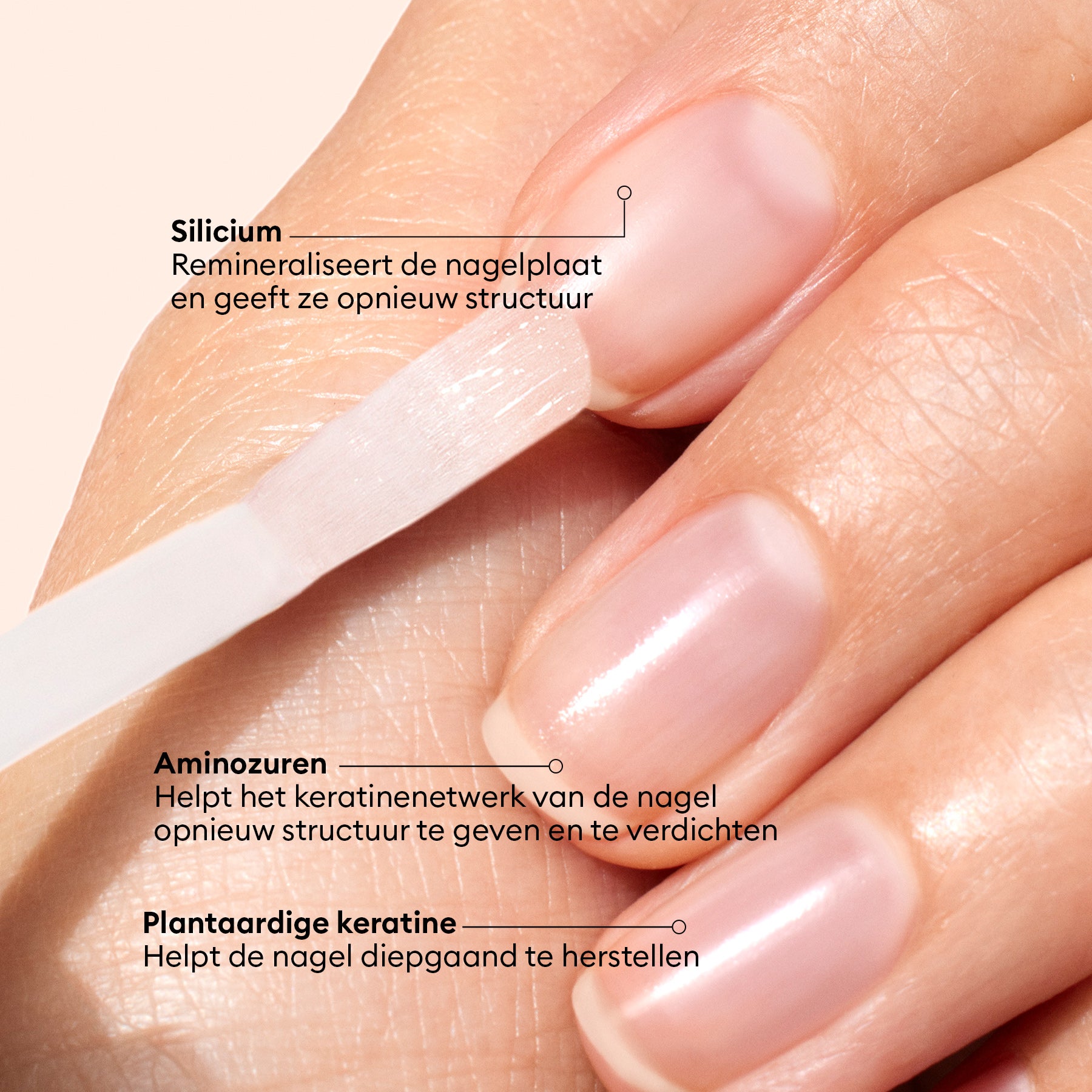 manucurist-bitter-nagellack-anti-n-gelkauen-pflege-lack image 8