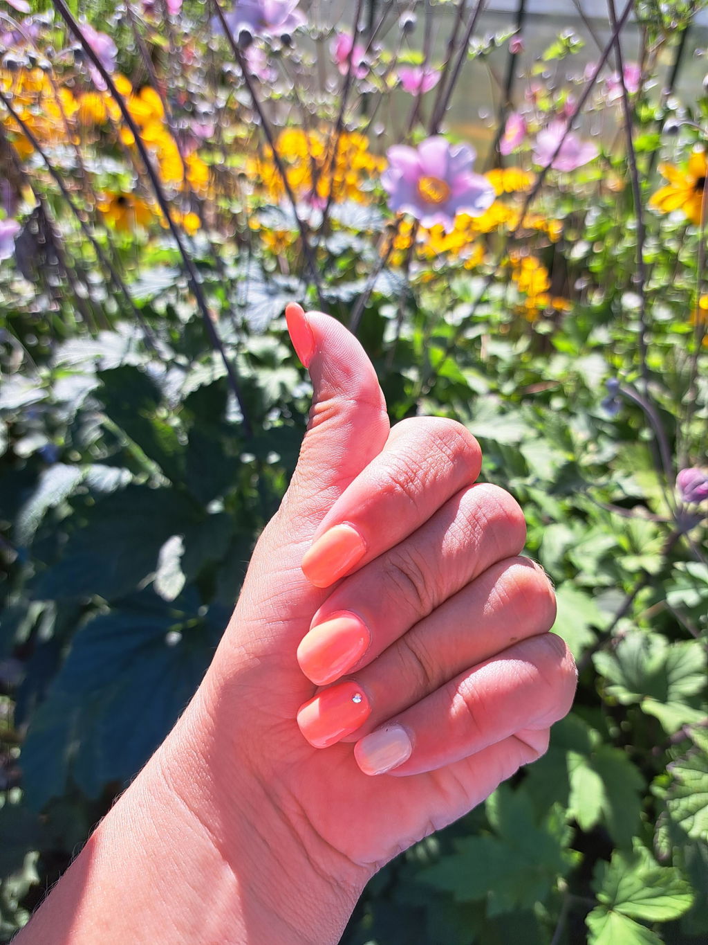 Knackiges Peach-Neon
