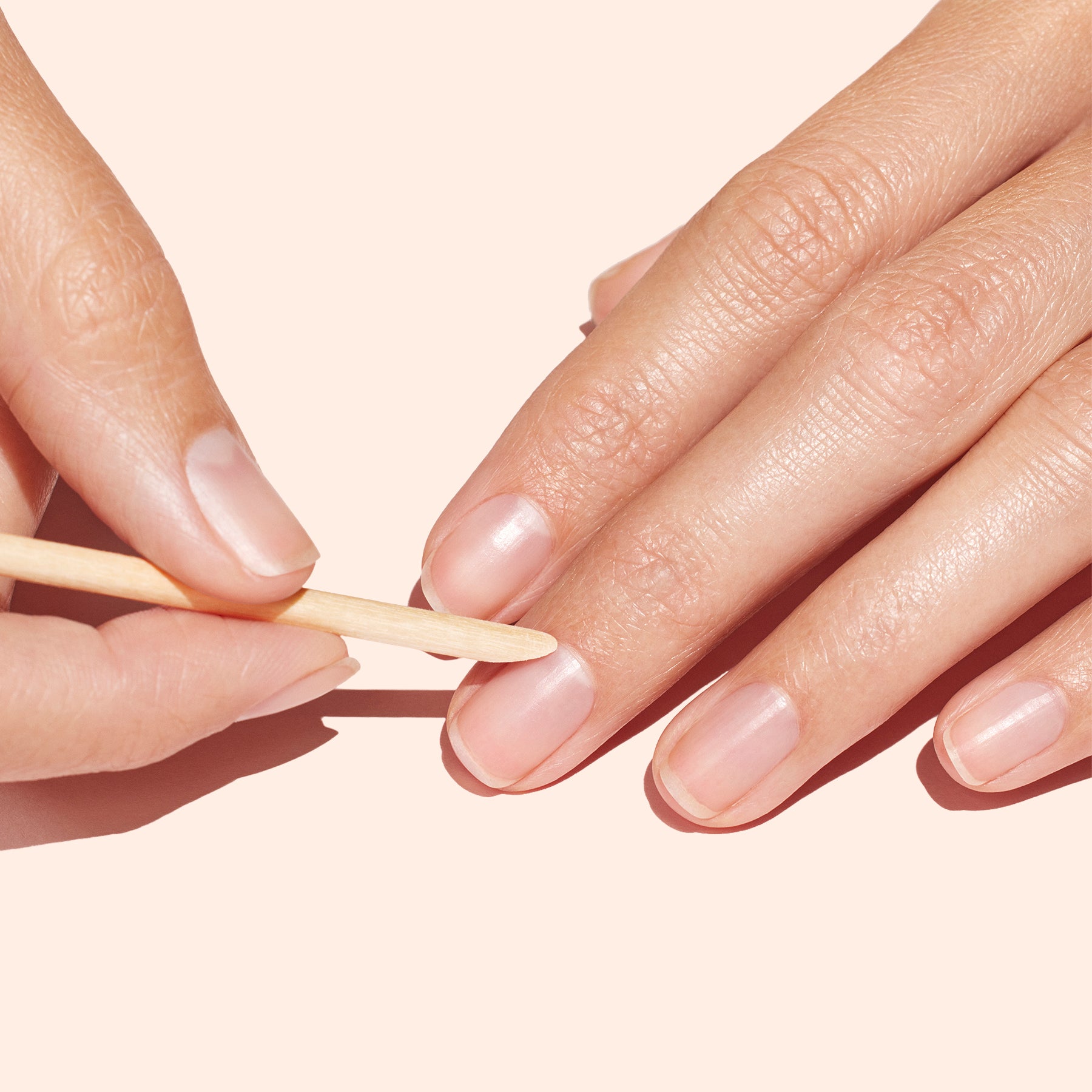 manucurist-buchsbaum-st-bchen-x20-nagelhaut-nagelreinigung image 2