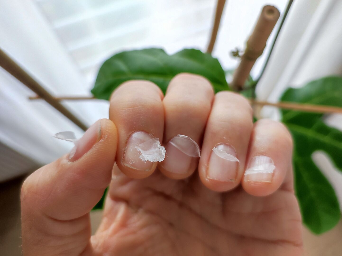 Nägel wie neu