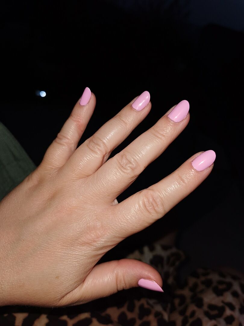 Pop-Rosa mit Suchtfaktor