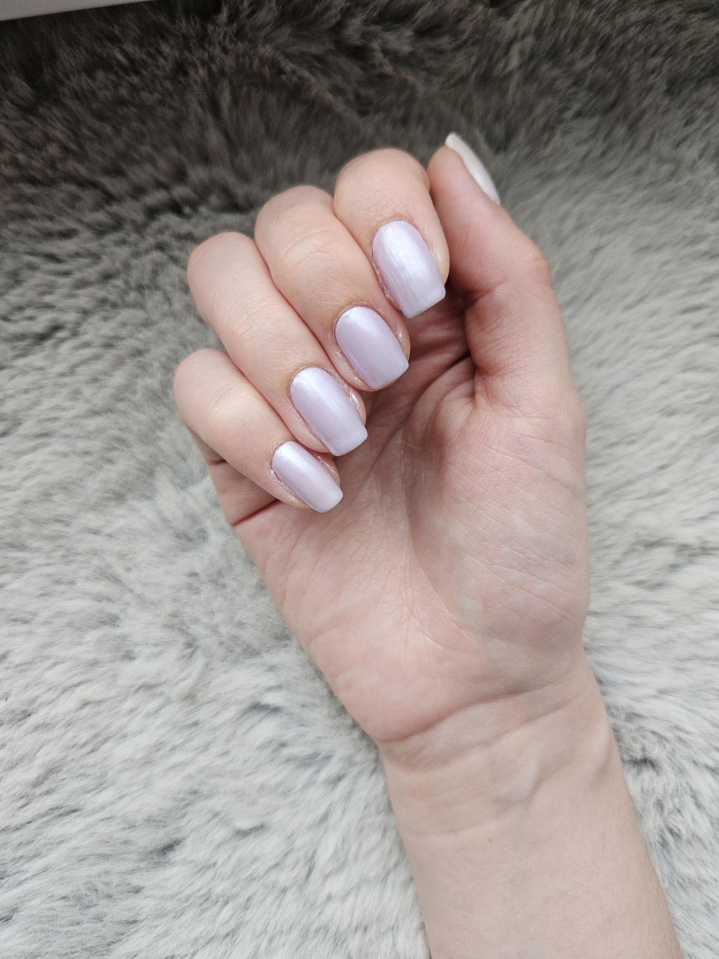 Traum-Lavendel