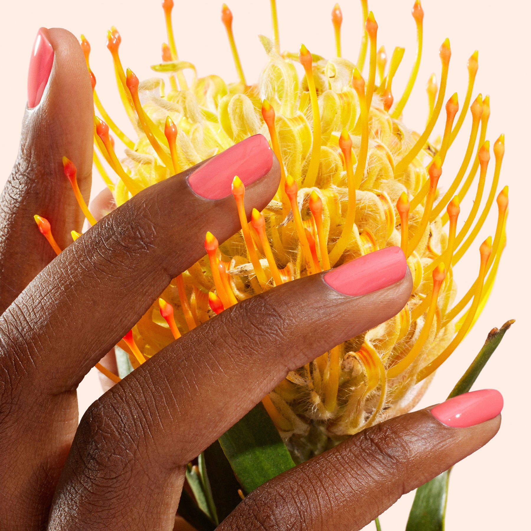 manucurist-green-capucine-nagellack-korallenrosa image 3