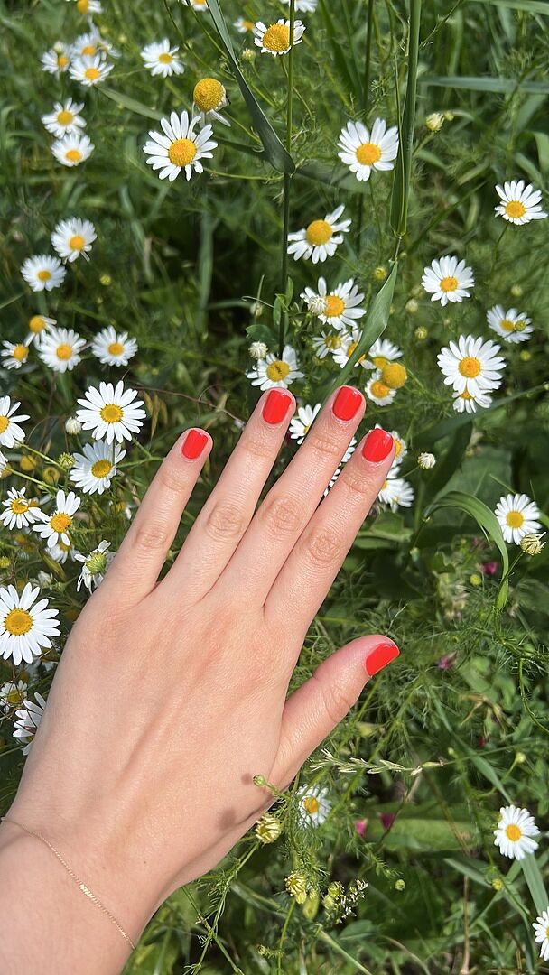 Lieblingsrot im Sommer
