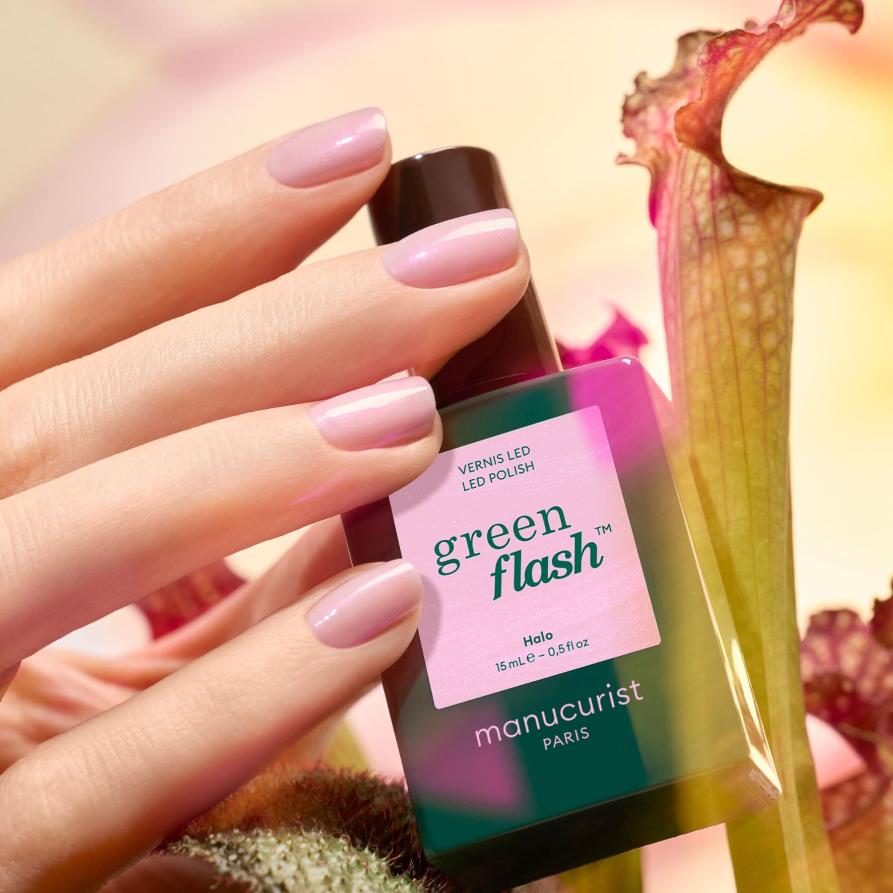 manucurist-green-flash-nagellack-halo-milchiges-mauve-glazed image 5