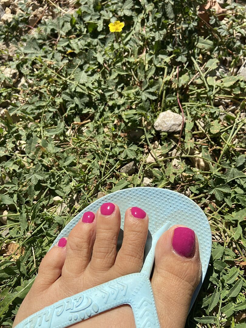 Tolle vegane Farbe für den Alltag