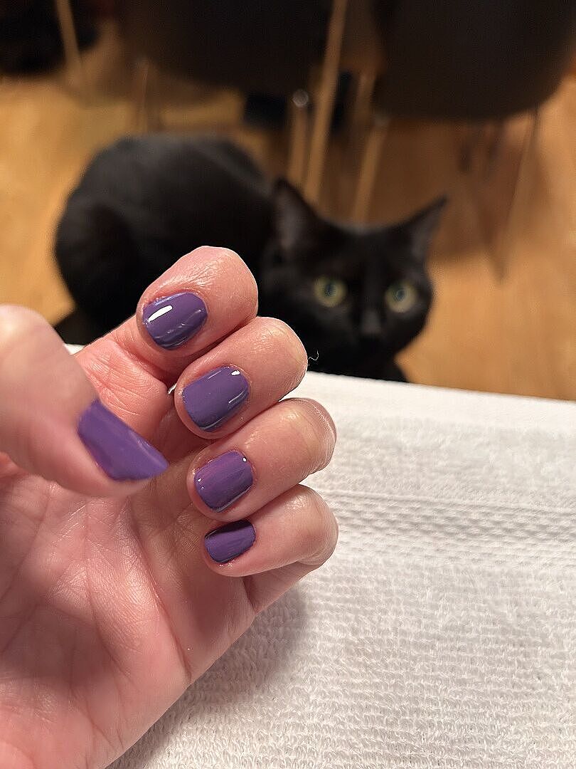 Retro-Violett mit Tiefe