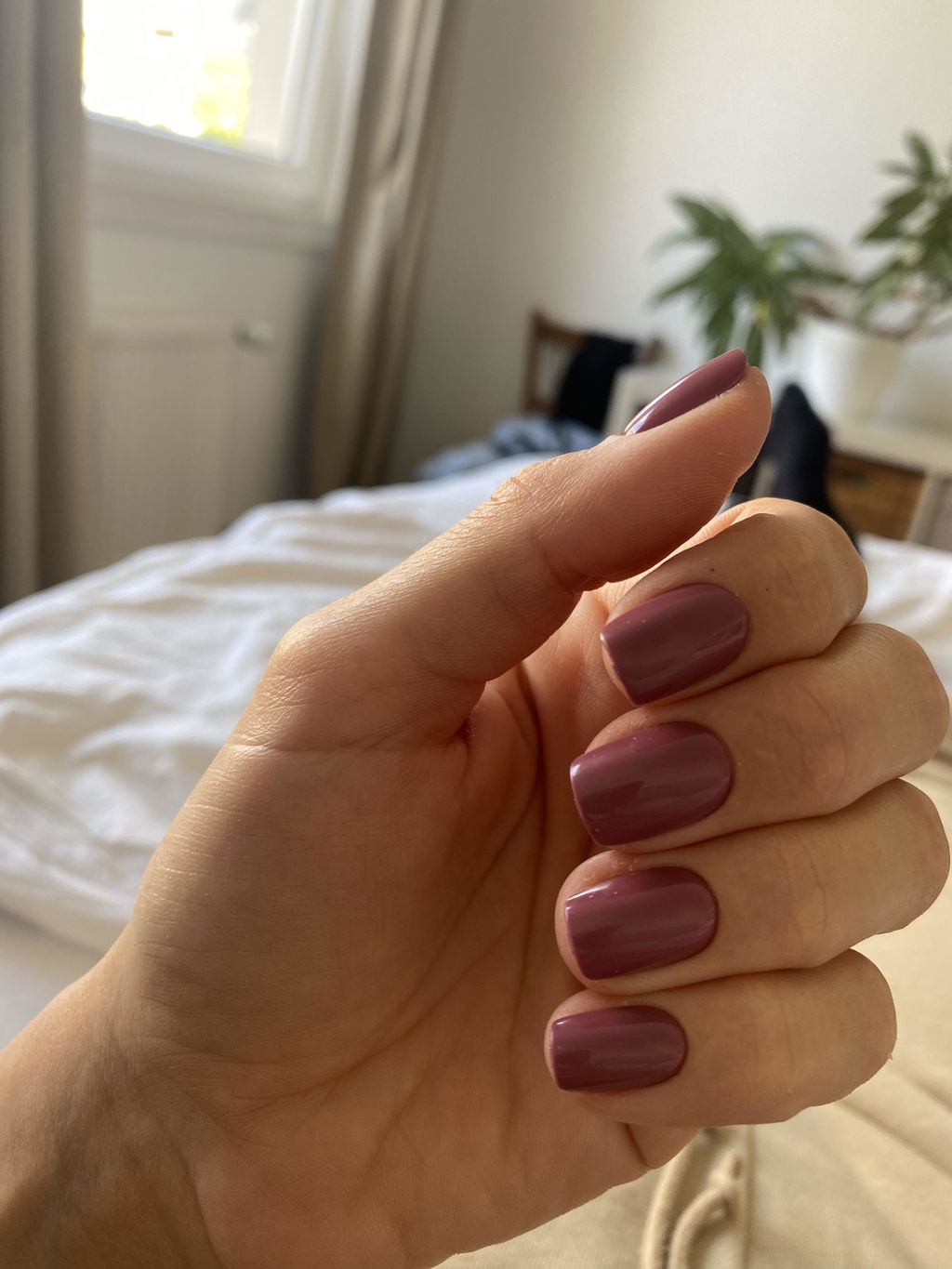 Kräftiges Lila, perfekte Länge