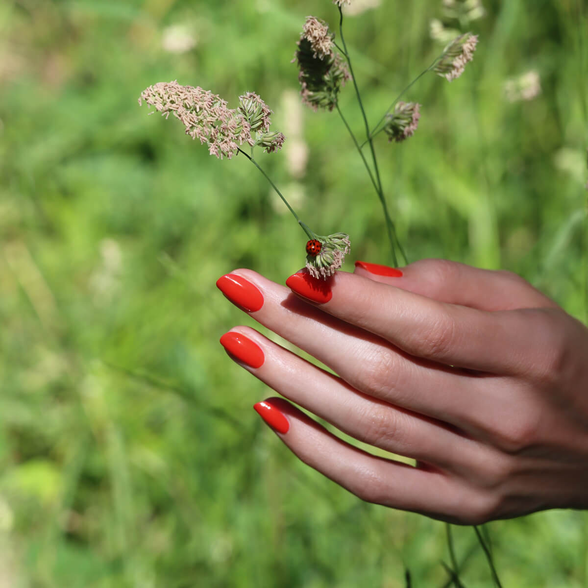 manucurist-green-red-coral-veganer-nagellack-korallenrot image 3