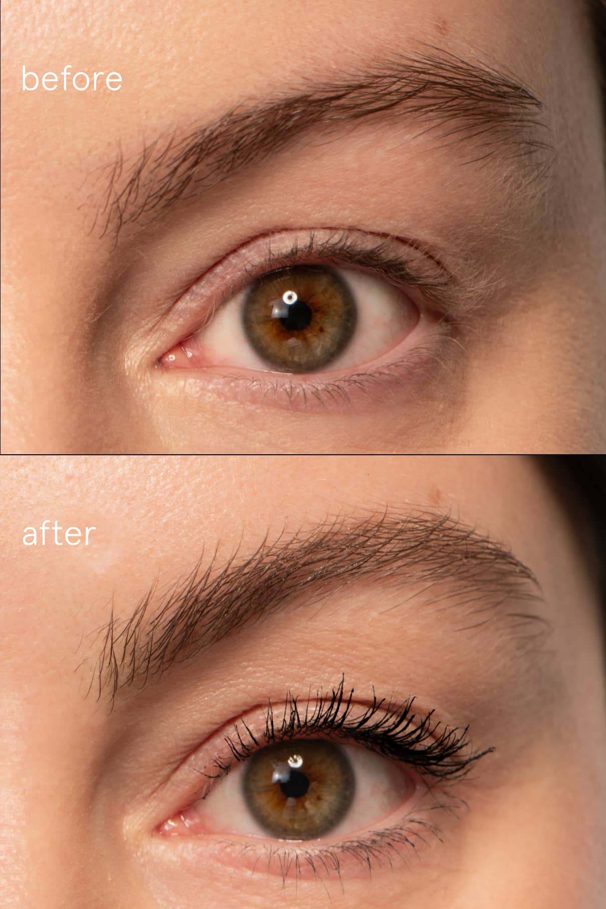 gitti-signature-set-5-teiliges-veganes-make-up-set-visionist image 5